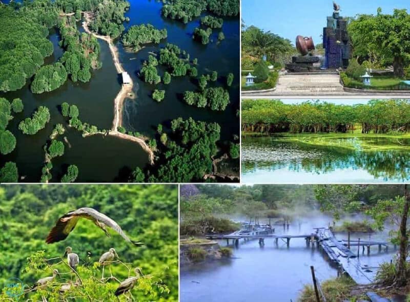 Tham quan rừng Bình Châu - Phước Bửu